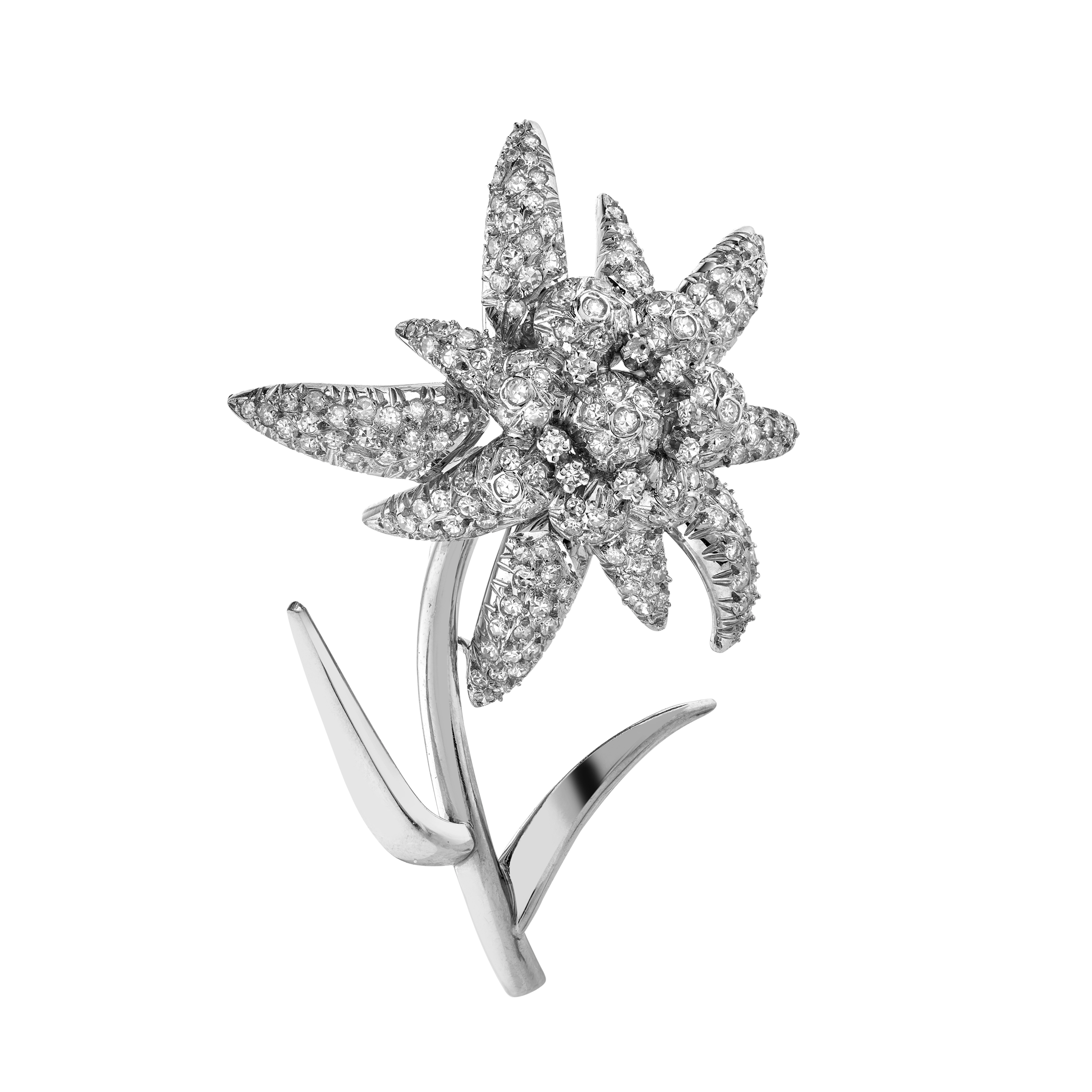 Broche Edelweiss diamants Gerphagnon