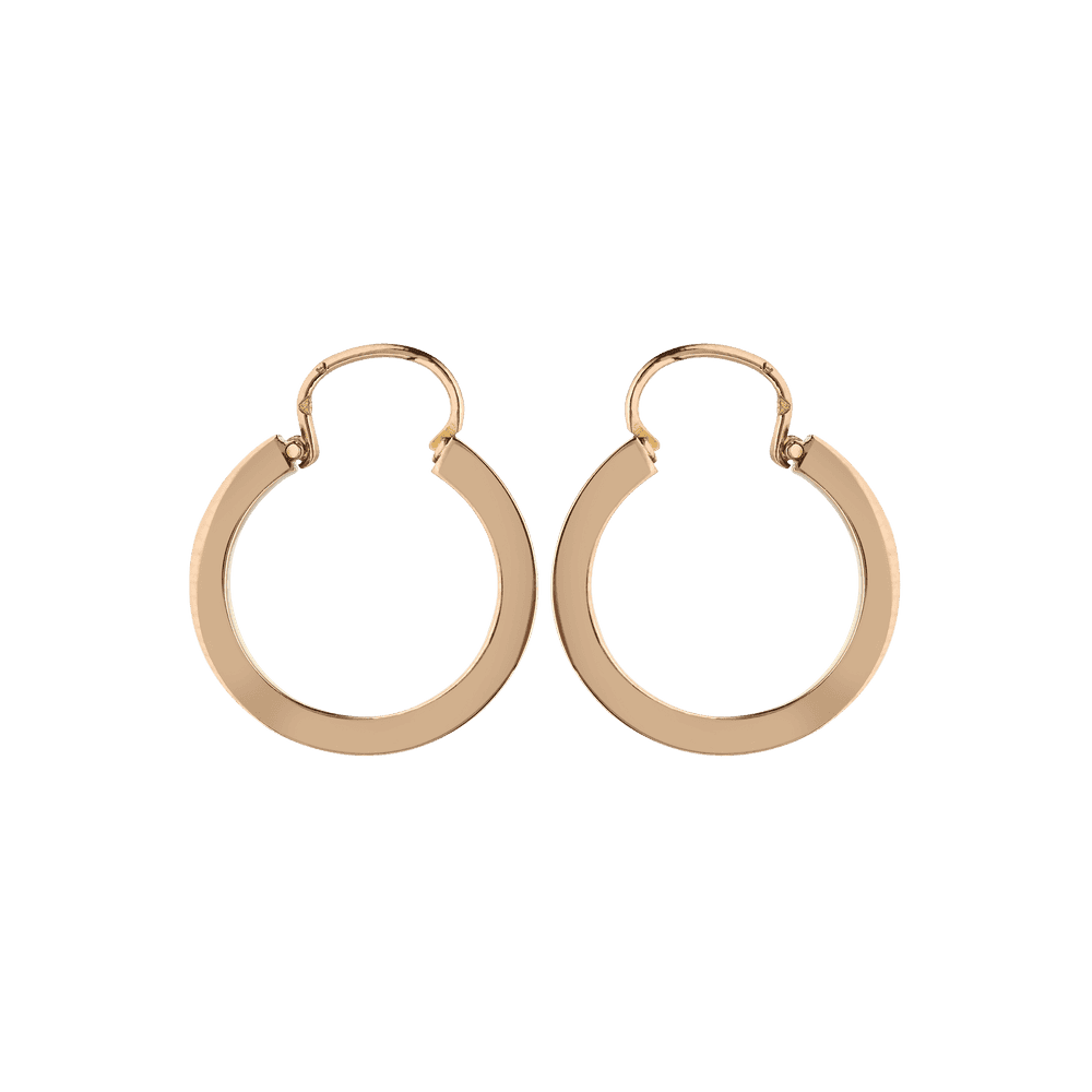 Paire De Boucles D'oreilles Pendantes En Or Rose XIXe Siècle - Poinçon Tête De Cheval
